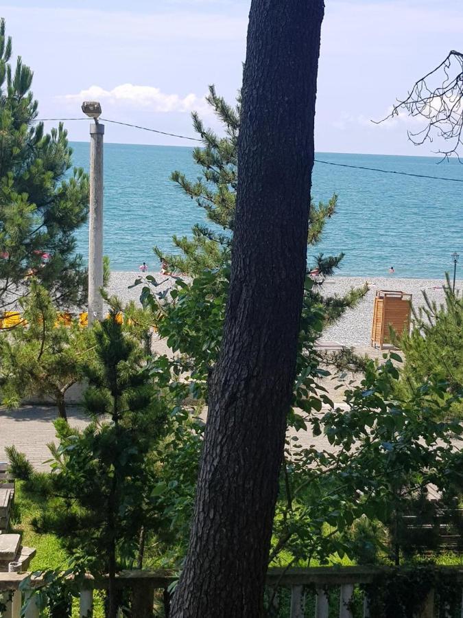 Midia Guest House Kobuleti Exterior photo