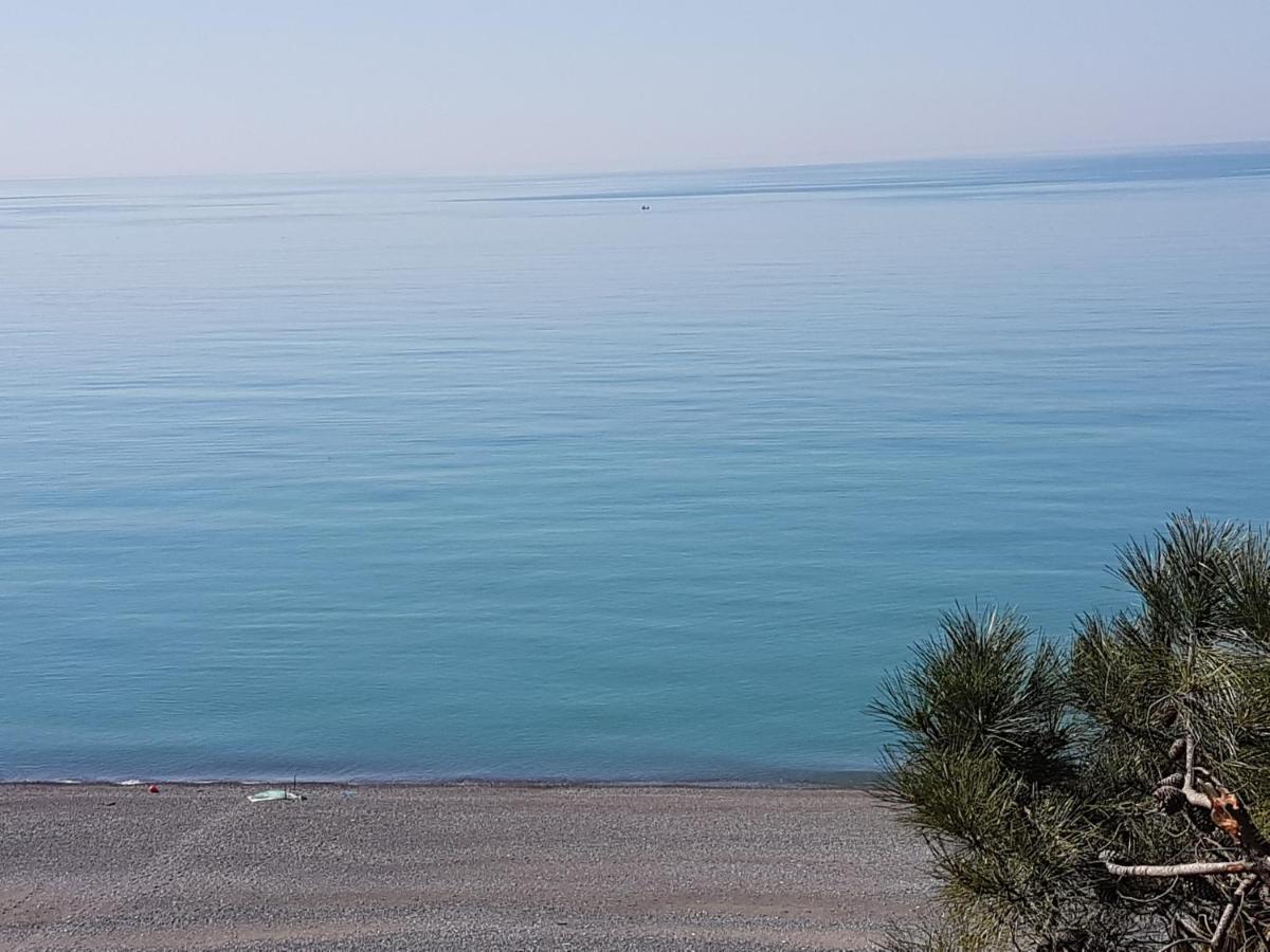 Midia Guest House Kobuleti Exterior photo